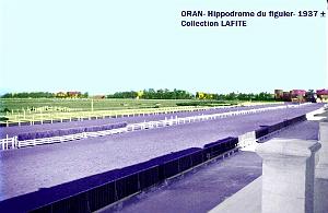 Oran- Le figuier 22a
